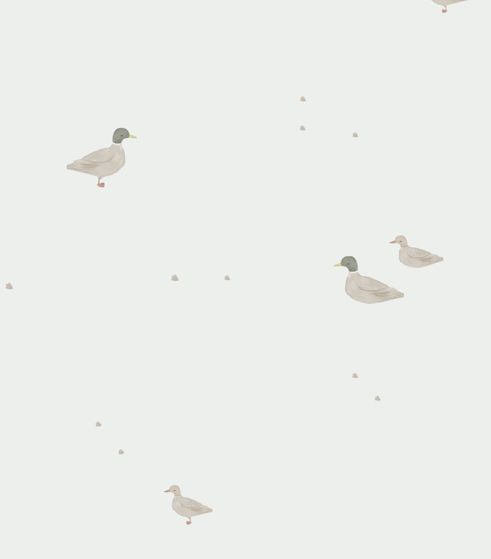 ducks