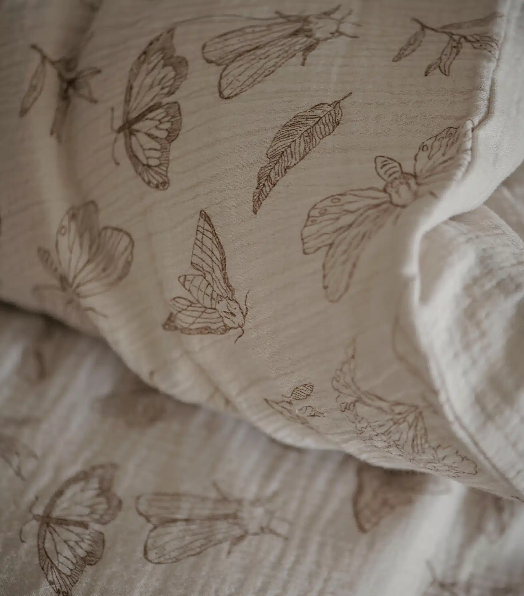 Moth ls 5
