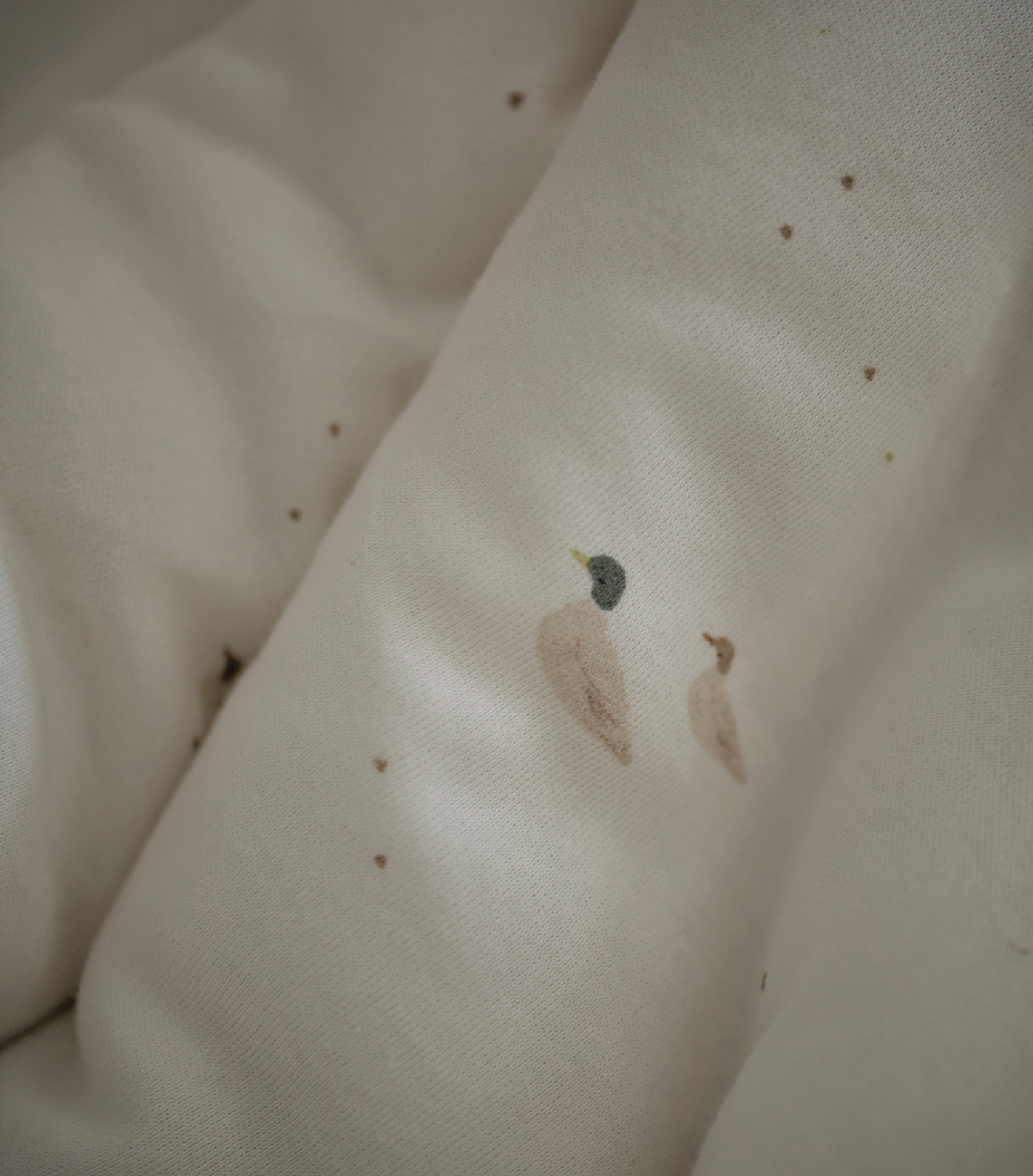 DUCK WINTER BLANKET 2