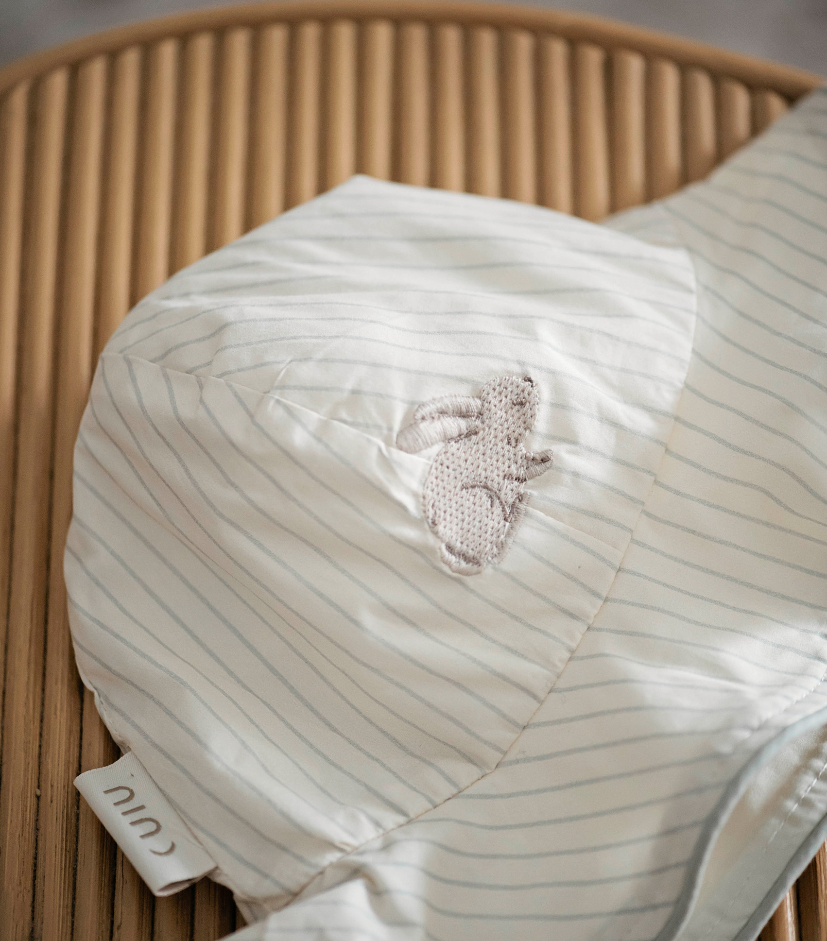 ארנב LS 2 ארנב LS 2