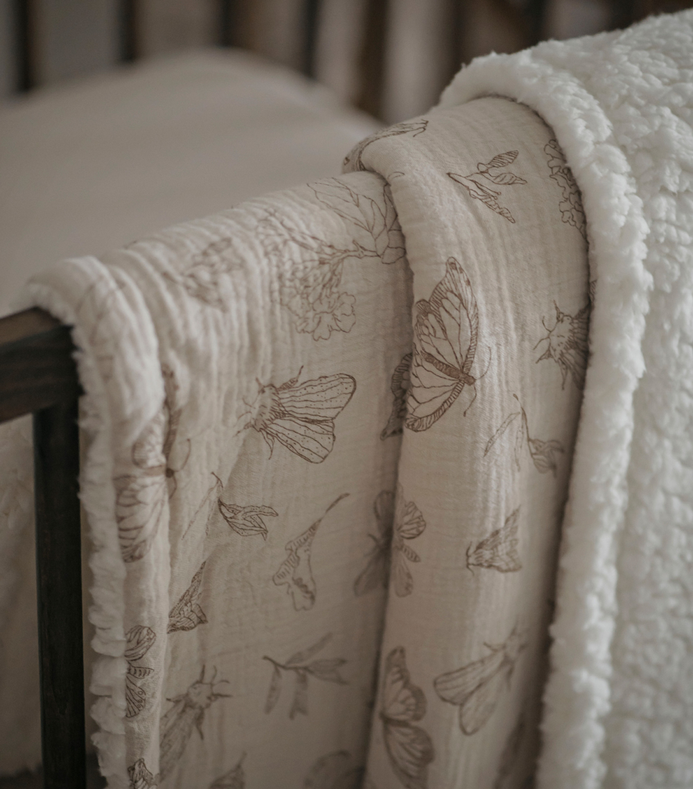 moth ls (2) moth ls (2)