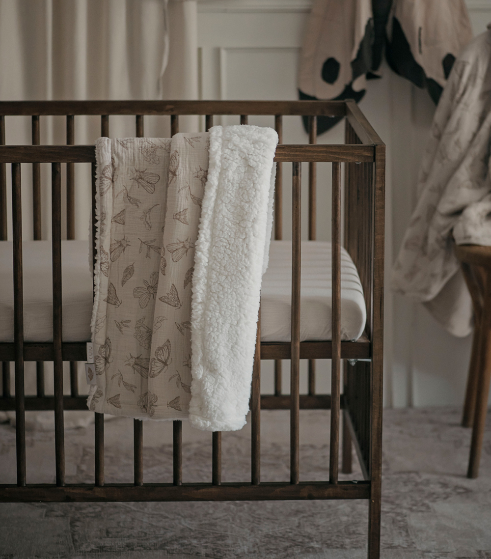 moth ls 2 (2) moth ls 2 (2)