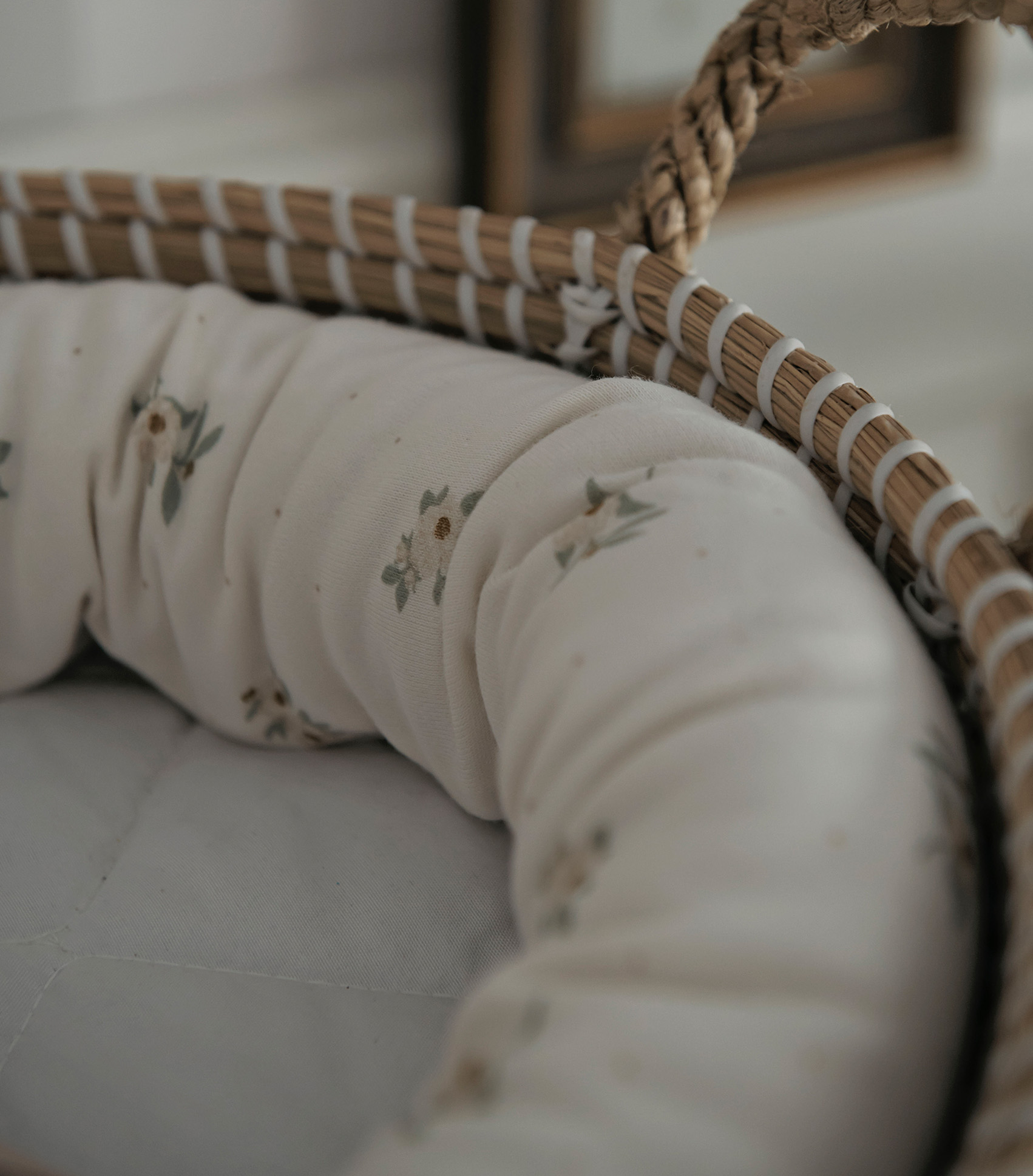 small snake - Anemone blossom 2