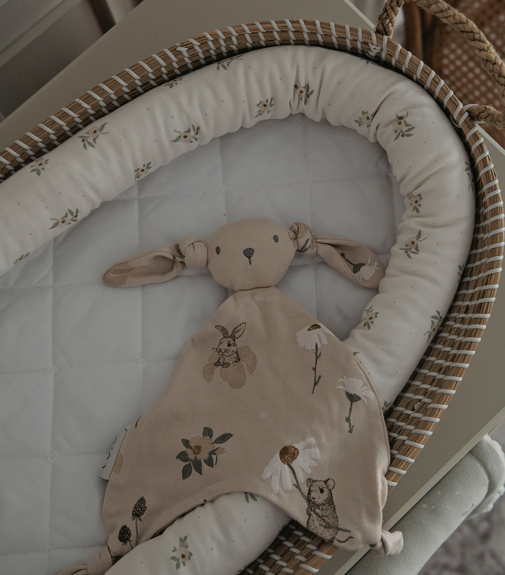 small snake - Anemone blossom