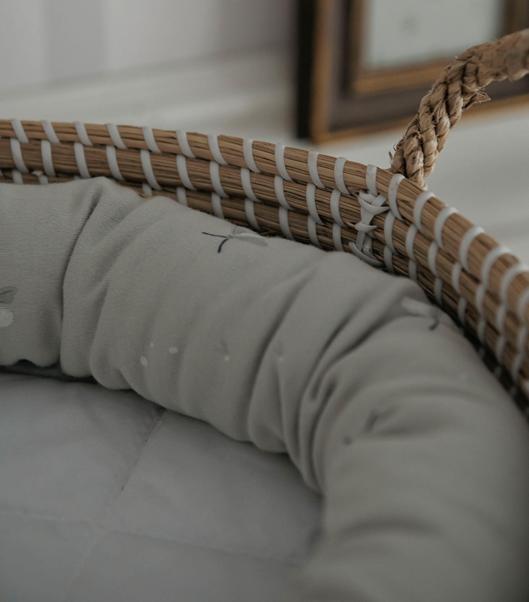 small snake - firefly 2